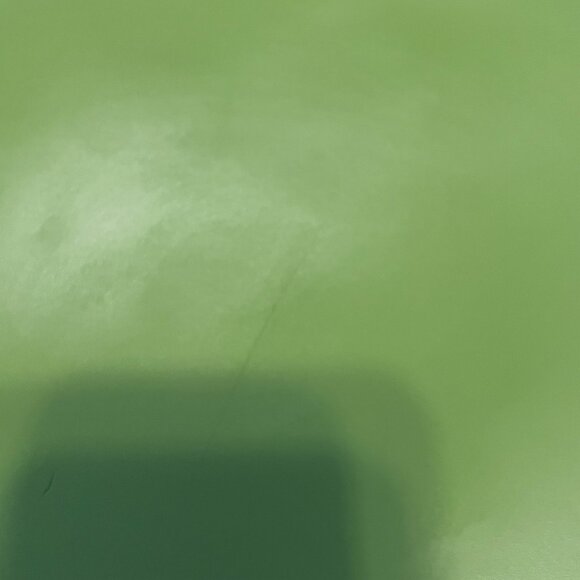 Green Vasic Clutch NWT - Picture 6 of 8